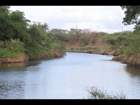 Credit: Nathaniel Stewart A section of the Rio Minho in Clarendon. The river broke its banks in the 1986 June Flood, causing severe flooding and resulting in the deaths of many persons.