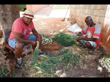 Credit: Nicholas Nunes/Photographer Jillian and Orville Dyer peel scallion as they talk about the difficulties with getting water for their farm.