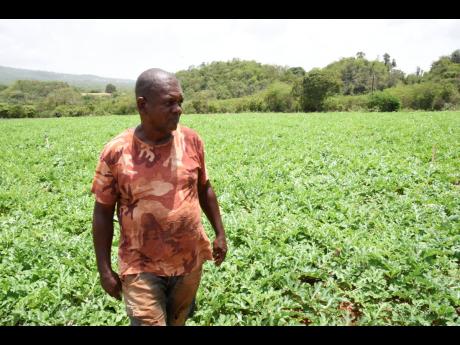Walter Samuda tried his hands at auto mechanics but returned to farming.Walter Samuda tried his hands at auto mechanics but returned to farming.Walter Samuda tried his hands at auto mechanics but returned to farming.Walter Samuda tried his hands at auto mechanics but returned to farming.