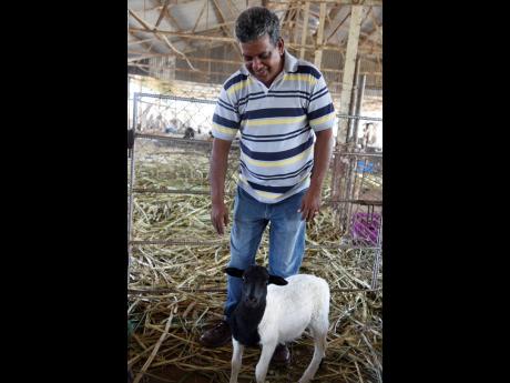 Hanief Baccas with one of his sheep.