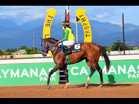 Credit: File FATHER PATRICK