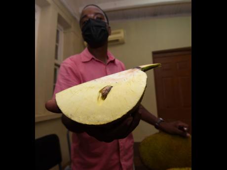 Gray shows off a breadfruit variety called ulufiti.