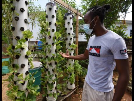 Shandae Bascoe explains how vegetables grow in his soilless aeroponics towers.