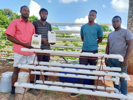 Ricardo Chambers (left) CEO and managing director of Chambers Hydrofarm, with his mentees and workers (from left) Jamie Salmon, Miguel Salmon and Romaine Richards.