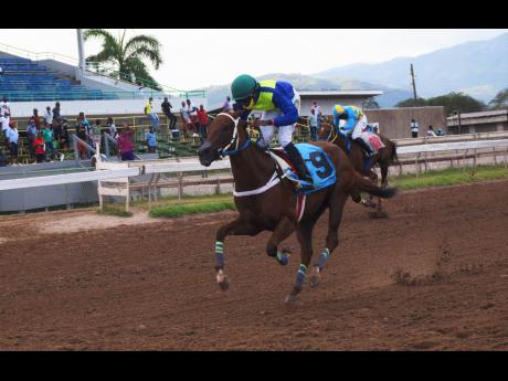 Credit: Anthony Minott SOLID APPROACH, ridden by Omar Walker, wins the third race over 1400 metres at Caymanas Park on Sunday, March 14.