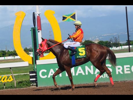 BILLY WHIZZ (Dick Cardenas aboard) walks back to the winners’ enclosure after his victory in last Saturday’s Royal Dad Trophy over nine furlongs and 25 yards at Caymanas Park.