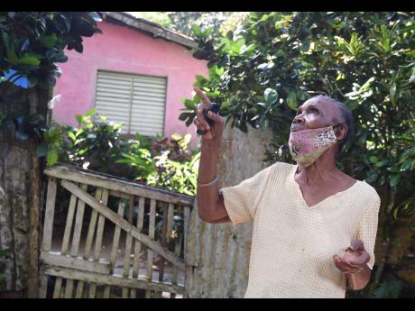 Adele Morrison explains how she felt after hearing that her grandnephew is being accused of leading a cult.