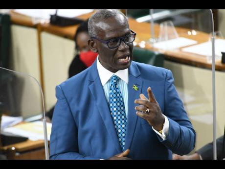 Local Government Minister Desmond McKenzie.
