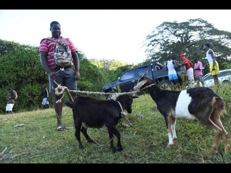 Donald Buckley with the two goats he purchased at the animal market.