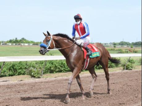 Supreme Soul, with Shane Ellis aboard.