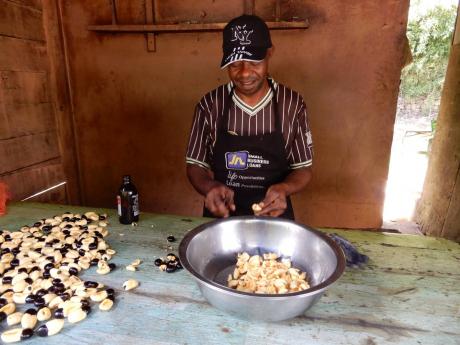 Faith’s Pen vendor Edwin Thomas plucks ackee as he prepares food.