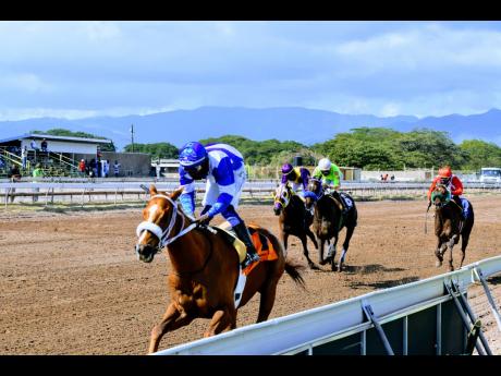 CURLIN’S AFFAIR (left), ridden by Robert Halledeen, winning the fourth race over nine furlongs and 20 yards at Caymanas Park on Saturday, January 22.
