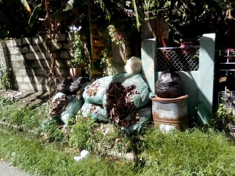 Credit: Rasbert Turner Uncollected garbage in Waterloo, St Catherine.