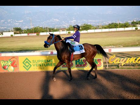 Brinks, pictured here, will have his work cut out against EmperorOfTheCats on Sunday.