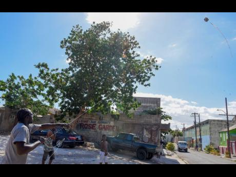 Ricardo Simmonds shows off his kite flying skills in Rose Gardens, Kingston.