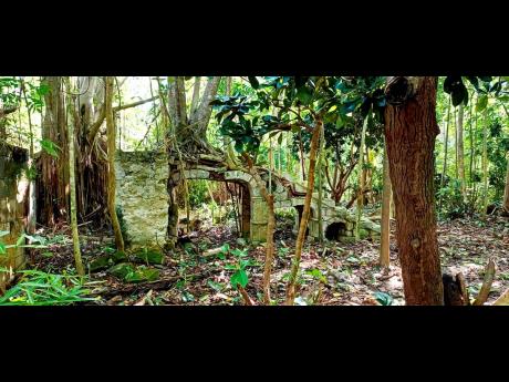 Ruins of the Belmont Great House on the ‘Tek-A-Hike’ trail at Dunn’s River Falls and Park in St Ann. 