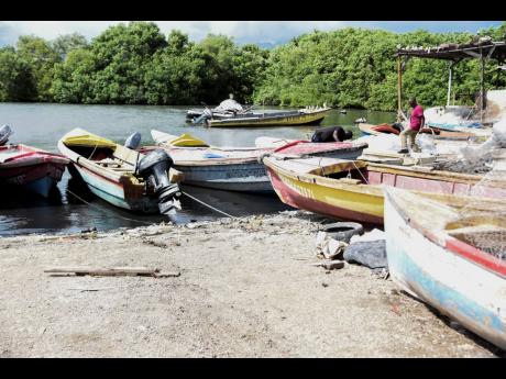 Credit: Nicholas Nunes/Photographer