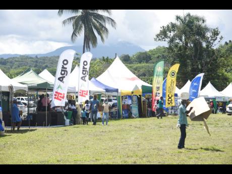 Credit: Nicholas Nunes/Photographer Some of the booths at the St Mary Agricultural Show.