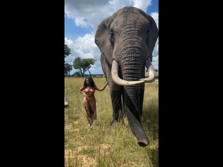 Up-and-coming dancehall act Neelah is cautious as she steps out into the safari to take a snap with an elephant. 