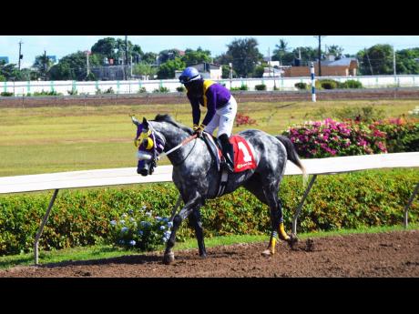 Duke, with Robert Halledeen aboard.