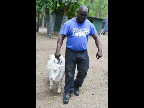 Rayon Butler is about the ensure that Lammy gets her summer body.