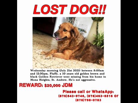 Fluffy has been missing since July 21.