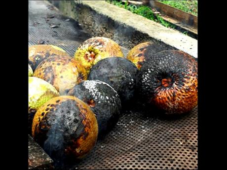 The business supplies fire-roasted, vacuum-packaged breadfruit to the domestic and export markets.