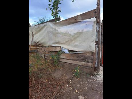 The makeshift fence in McCooks Pen, St Catherine, which the infant breached.