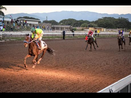 Credit: Anthony Minott Classical Orb (left), ridden by Omar Walker, wins the Pick 3 ‘Supreme’ Trophy over 9-1/2 furlongs at Caymanas Park on Saturday, November 27, 2021.