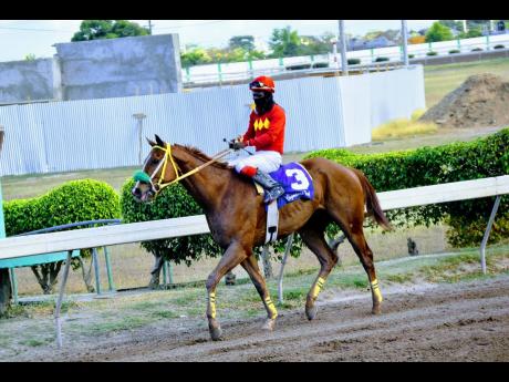 Credit: File Generational, seen here, is the only real threat to Curlin’s Affair in the overnight allowance at Caymanas Park on Saturday.