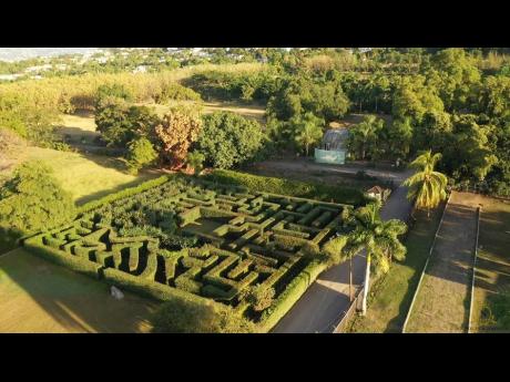 The carved Maze Garden where children often play at the Hope Royal Botanical Gardens in St Andrew.
