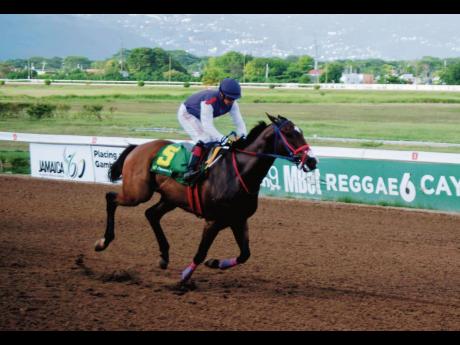 Credit: JORDON REIGN’S