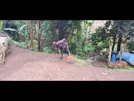 Christopher Smikle, father of Ali-Kay Smikle raking his yard at Jobs Hill in St Mary.