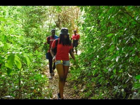 Credit: Nicholas Nunes/Photographer The STAR team of Shanel Lemmie (front), Roxroy McLean (centre) and Simone Morgan-Lindo on the trek to Kwame Falls.