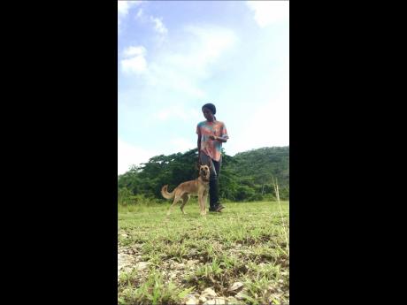 Pierce with one of her animals.