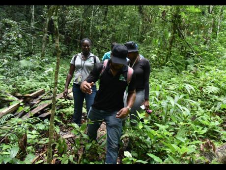 The day consisted mostly of hiking.