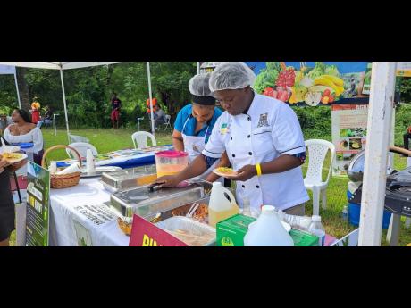 La-Toya Green Williams of the St Catherine Rural Agricultural Development Authority office, serves up a dish of ackee salad. 