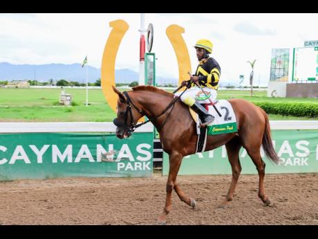 ATOMICA with jockey Dane Dawkins.