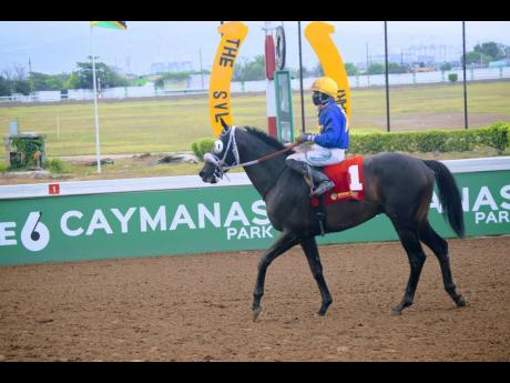 BIG BIG DADDY and jockey Dane Dawkins.