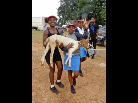 Brown’s Town High student Annakay Campbell (left) is assisted by schoolmate Samantha Cammock to carry her prize goat from the Minard Estate in Brown’s Town, St Ann on Thursday.