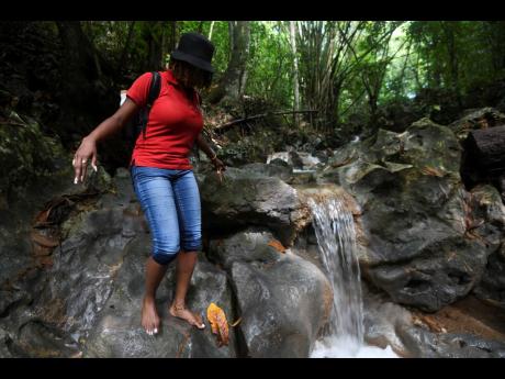 Watch your step! STAR Writer Shanel Lemmie makes her way down to the falls. 