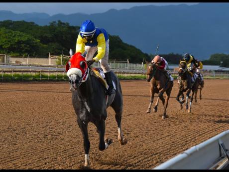 MOJITO is eased at the finish line by jockey Dane Dawkins after winning the two-year-maiden special weight BGLC/TOBA Jamboree Sprint over six furlongs at Caymanas Park on Saturday.