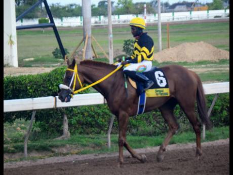 ATOMICA with jockey Dane Dawkins.