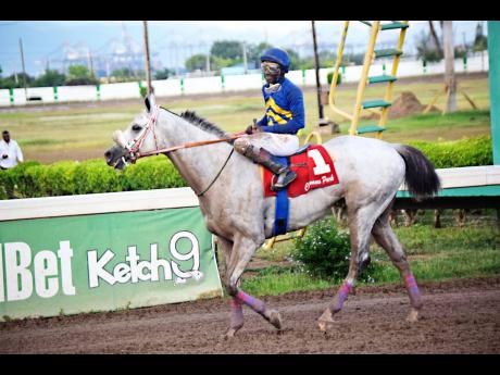 Credit: File RACE CAR and jockey Shane Ellis after winning the Arthur Jones Memorial Cup for three-year-old and upwards overnight allowance over six furlongs at Caymanas Park in August.