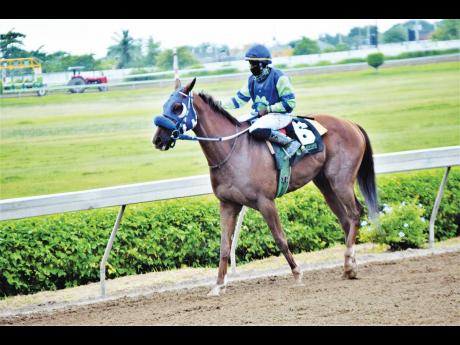 MAHOGANY with jockey Dane Dawkins.