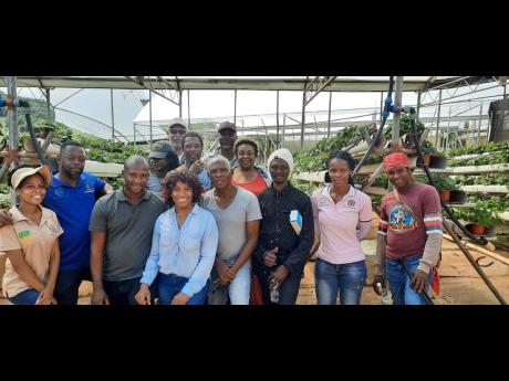 Participants in the sustainable hydroponics production systems training done under the Resilient Caribbean Initiative.