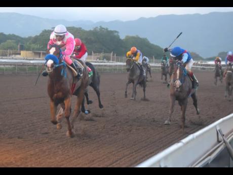 MINIATURE MAN, ridden by Abigail Able, wins the Caymanas Park Announcers Trophy, a three-year-old and Upwards Restricted Overnight Allowance race, over six and a half furlongs at Caymanas Park in October.