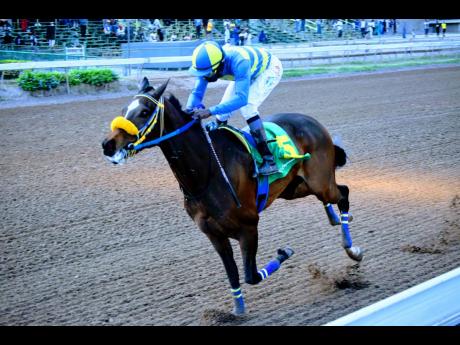 Credit: File STOMP THE RHYTHM, ridden by Shane Ellis, storms to victory in a six-and-a-half furlong event at Caymanas Park in March last year.
