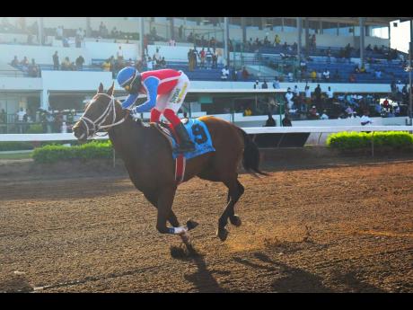 BIG GUY IN THE SKY,  ridden by Dane Dawkins, strides to a comfortable victory in the Restricted Allowance Native Bred three-year-old none winners of two and imported three-year-old and upwards maiden event, contested over six furlongs at Caymanas Park on Saturday.