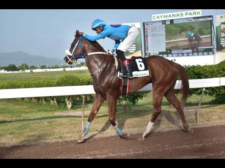 RUNAWAY ALGO, ridden by Raddesh Roman, wins the three-year-old and upwards open allowance Thornbird Trophy Stakes over seven furlongs at Caymanas Park on Saturday.